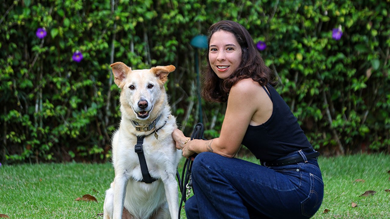 Consulta veterinária